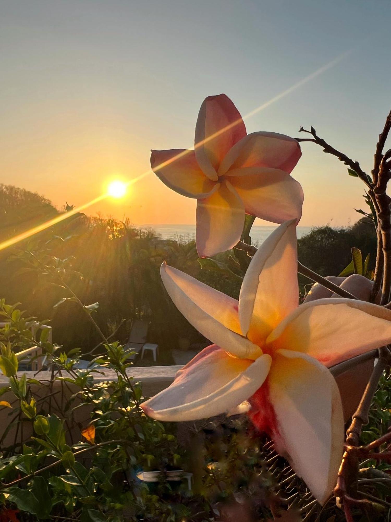 Agua Azul La Villa Santa Cruz Huatulco Dış mekan fotoğraf